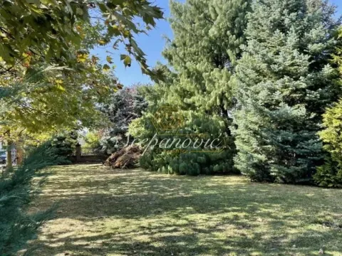 Prodaja, kuća, 202m², Sremska Kamenica, Petrovaradin - image 3