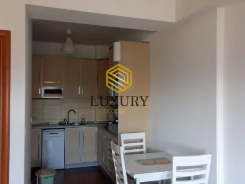 Izdavanje, jednosoban stan, 43m², Kod Big Fashion-a, Podgorica - image 8