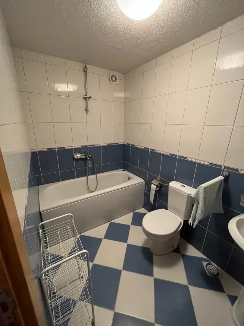 Bathroom with a bathtub, toilet, and blue-and-white tiles.
