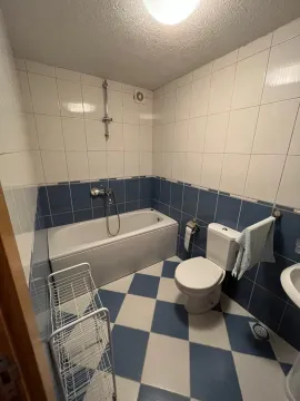 Bathroom with a bathtub, toilet, and blue-and-white tiles. - image 4