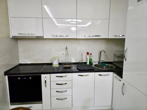 Izdavanje, jednosoban stan, 50m², Central Point, Podgorica - image 3