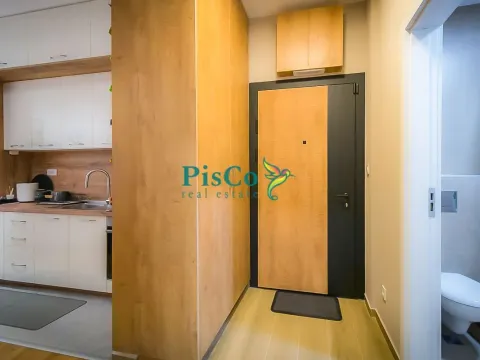 Rent, one bedroom apartment, 34m², Tološi, Podgorica - image 11