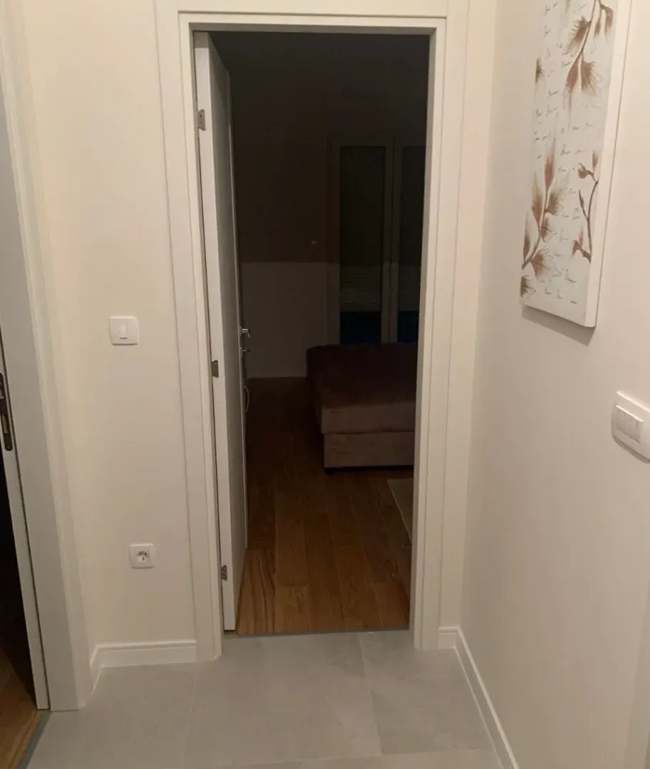 Izdavanje, jednosoban stan, 49m², Central Point, Podgorica
