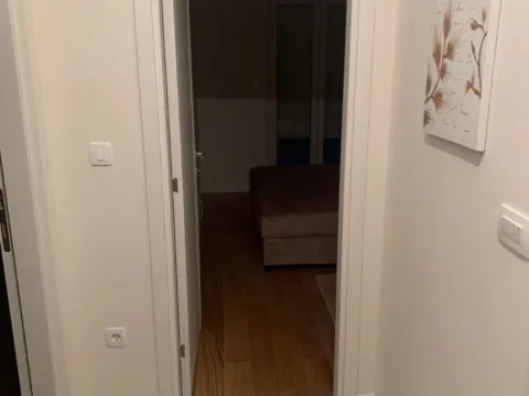 Rent, one bedroom apartment, 49m², Central Point, Podgorica - image 12