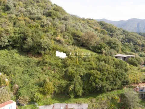 Prodaja, plac, 6816m², Meljine, Herceg Novi - image 5