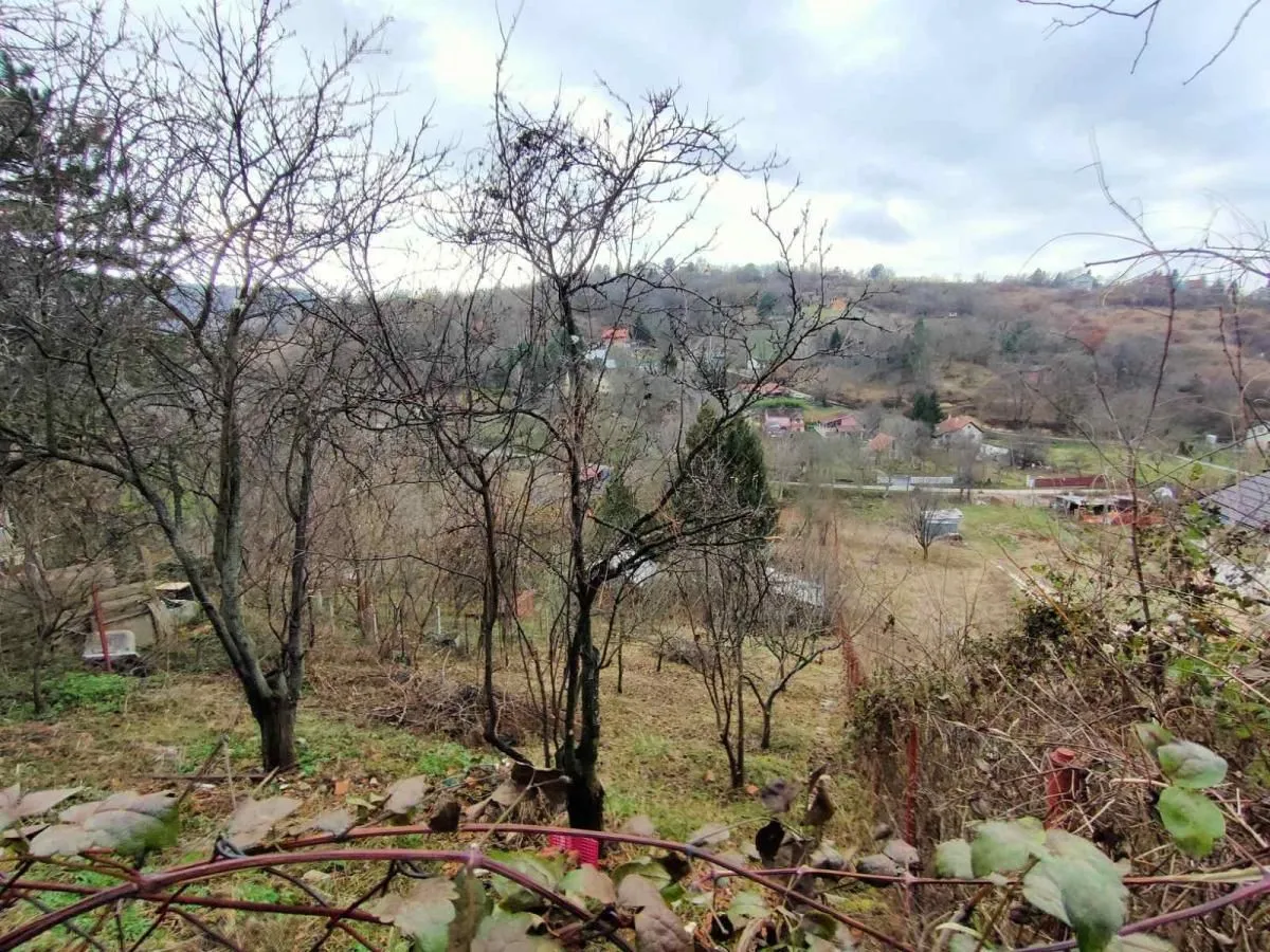 Prodaja, plac, 1000m², Sremska Kamenica, Petrovaradin