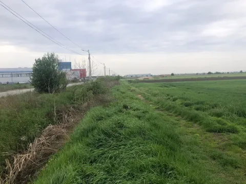 Sale, land lot, 11200m², Zemun Ugrinovci, Zemun Sve Podlokacije