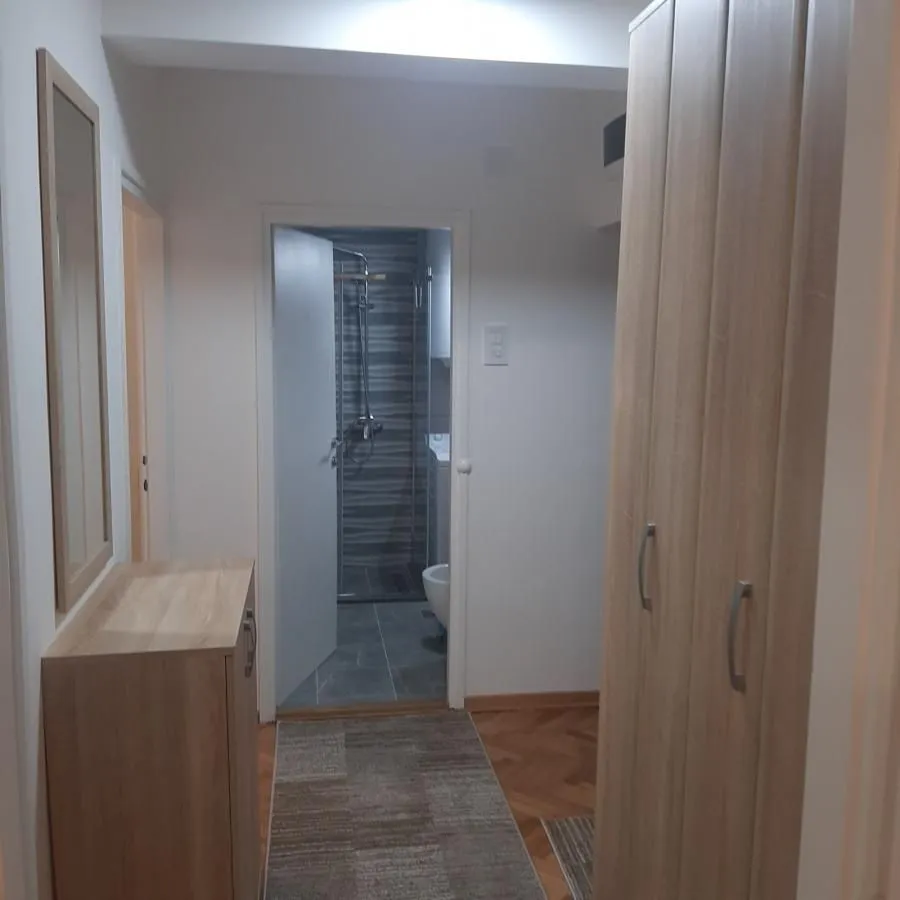 Izdavanje, dvosoban stan, 54m², Centar, Niš