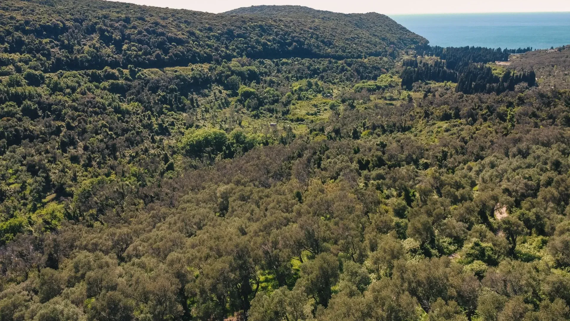 Prodaja, plac, 3030m², Ulcinj, Crna Gora