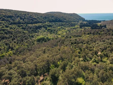 Prodaja, plac, 3030m², Ulcinj, Crna Gora - image 4