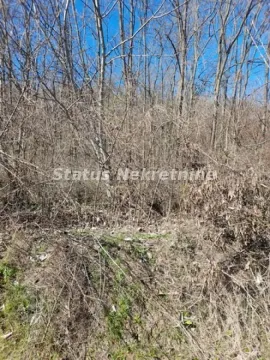 Pogled na šumoviti dio parcele sa drvećem. - image 7