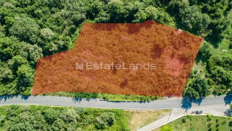 Pogled iz vazduha na građevinsku parcelu sa označenom granicom i šumskim rastinjem. - image 4