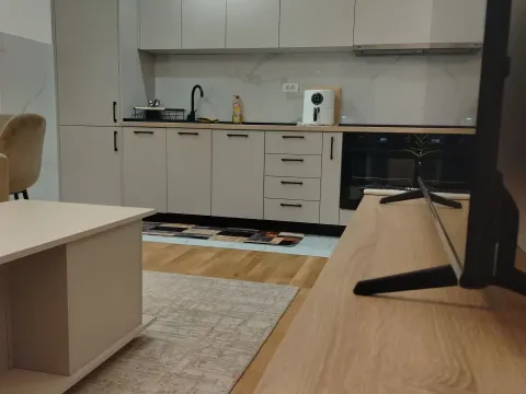 Stan-na-dan, jednosoban stan, 39m², Zabjelo, Podgorica - image 8