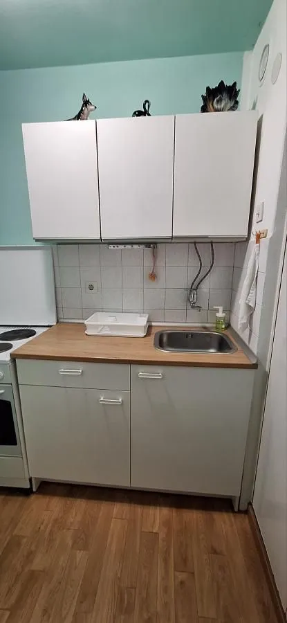 Rent, one bedroom apartment, 38m², Bulevar, Niš
