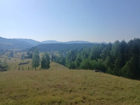 Sale, land lot, 3000m², Borje, Žabljak - image 5