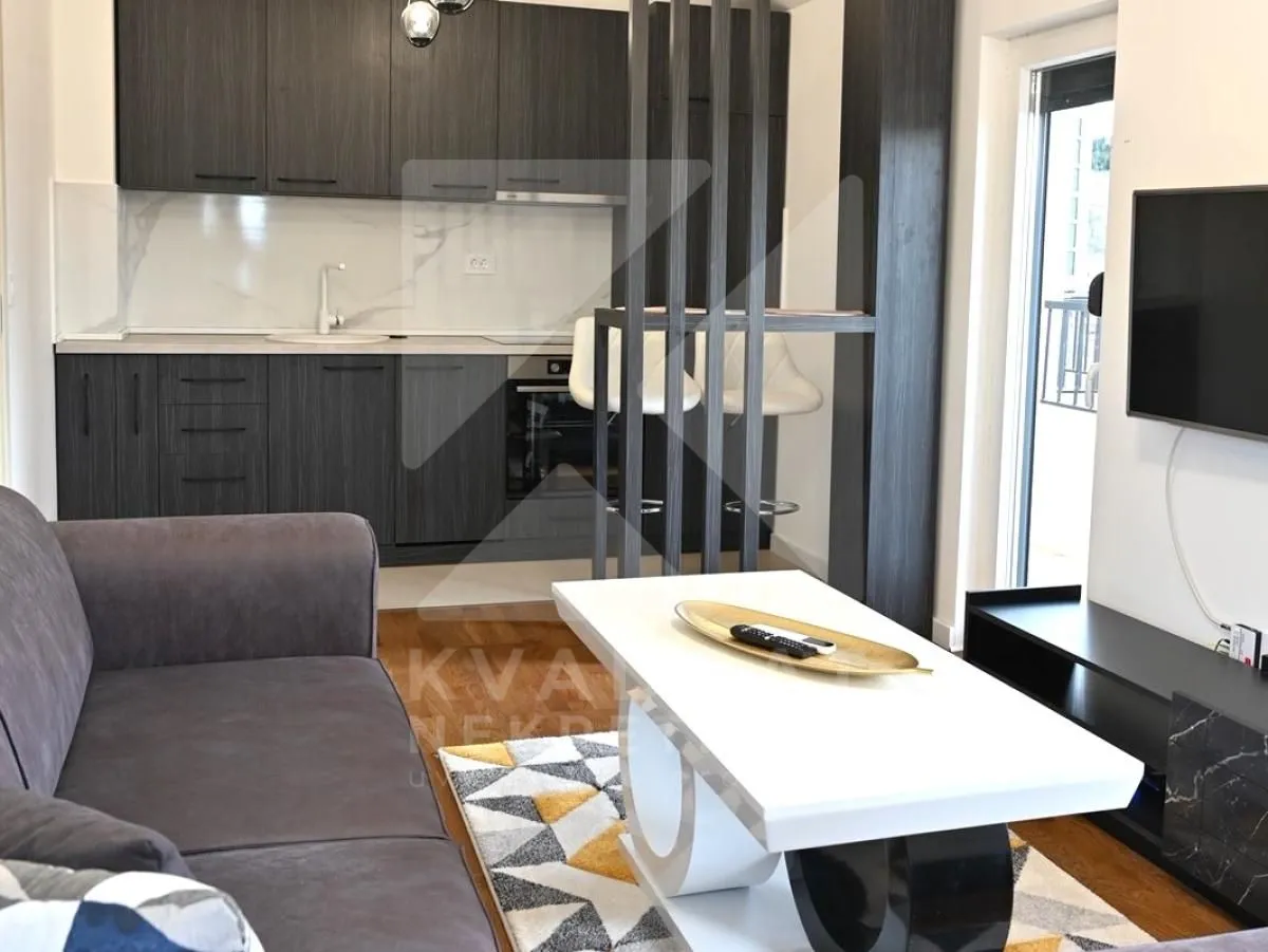 Rent, one bedroom apartment, 45m², Zagorič, Podgorica