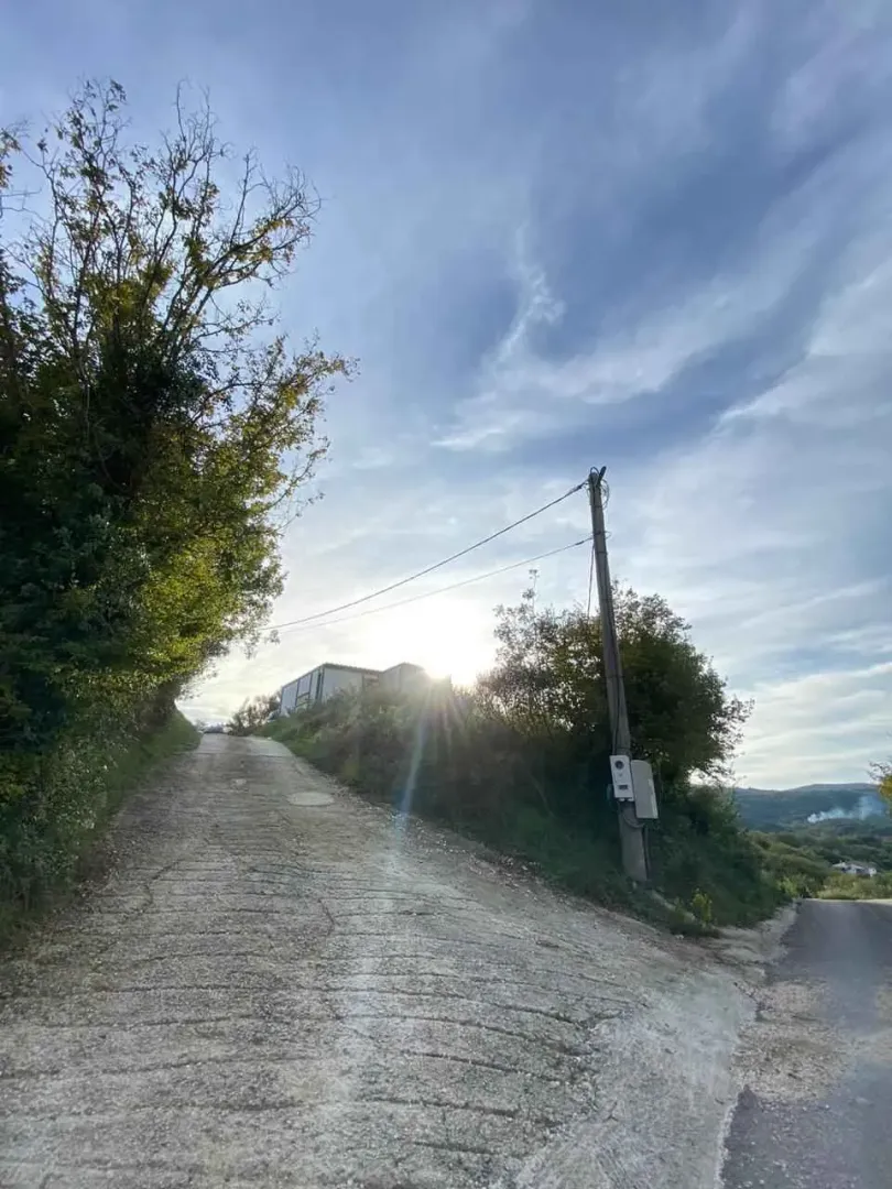 Prilazni put koji vodi do objekta sa drvećem i električnim stubom.