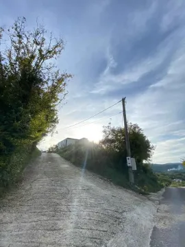 Prilazni put koji vodi do objekta sa drvećem i električnim stubom. - image 3