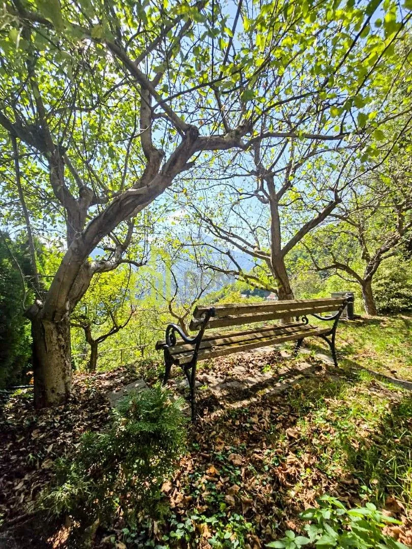 Prodaja, plac, 10000m², Kolašin, Crna Gora