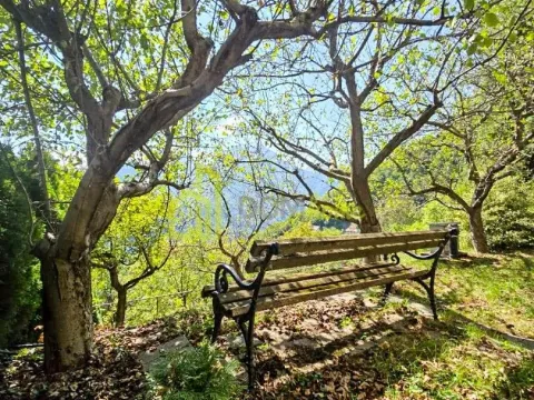 Prodaja, plac, 10000m², Kolašin, Crna Gora - image 24