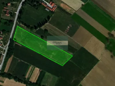 Prodaja, plac, 16009m², Dragocvet, Jagodina - image 7