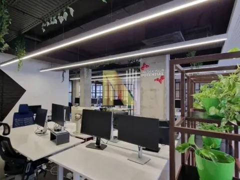 Rent, office space, 527m², Podbara, Novi Sad Sve Podlokacije - image 3