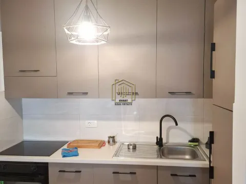 Izdavanje, jednosoban stan, 50m², Central Point, Podgorica - image 2