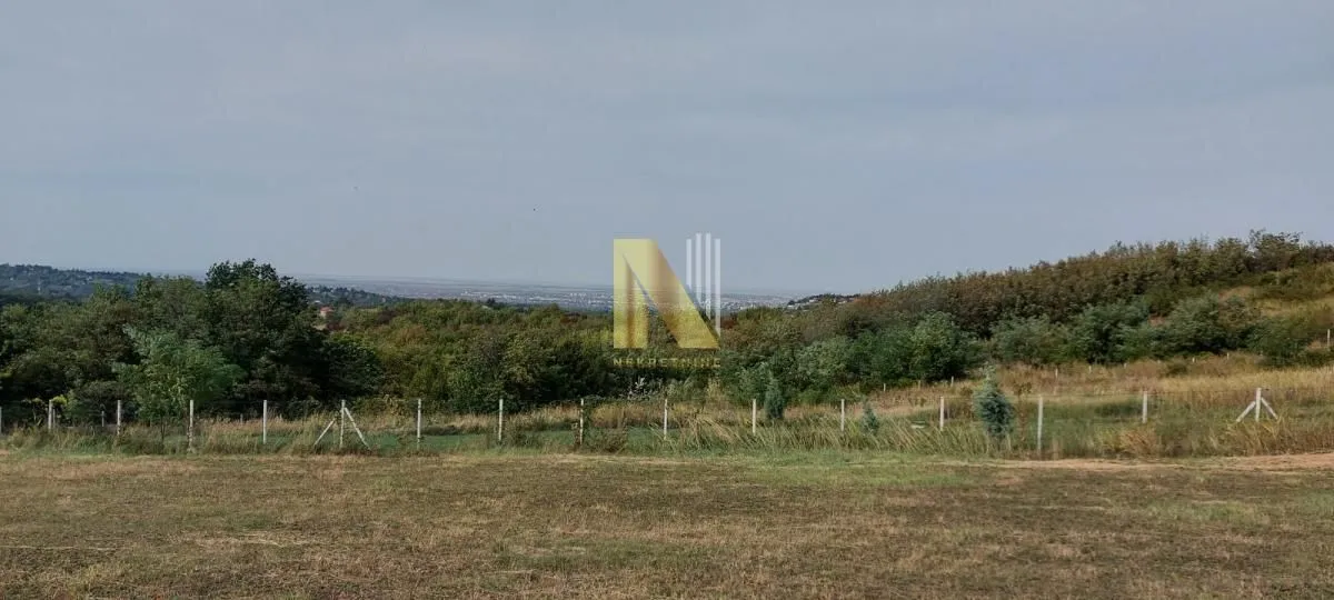 Sale, land lot, 1300m², Sremska Kamenica, Petrovaradin