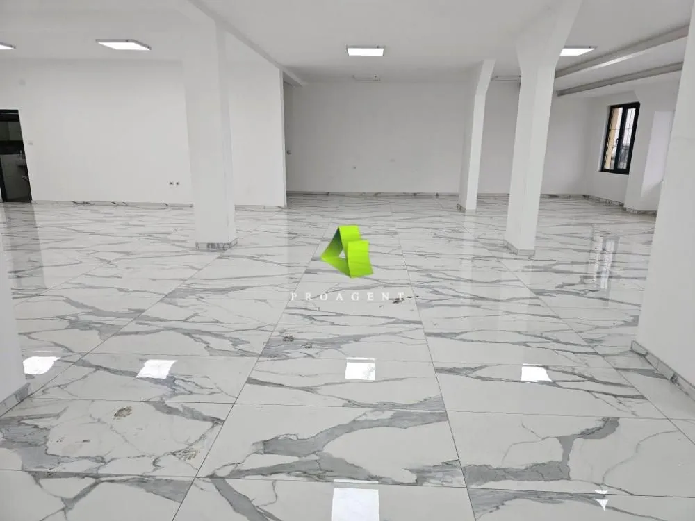 Izdavanje, poslovni prostor, 213m², Crveni Krst, Niš