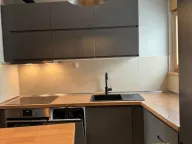 Izdavanje, jednosoban stan, 60m², Zemun Sve Podlokacije, Beograd - image 8