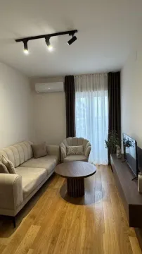 Izdavanje, jednosoban stan, 43m², Central Point, Podgorica - image 7