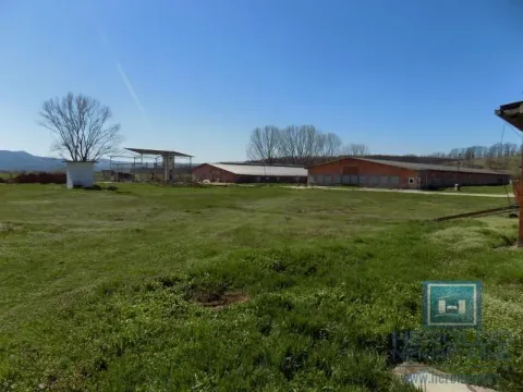 Sale, office space, 16723m², Boljevac, Srbija