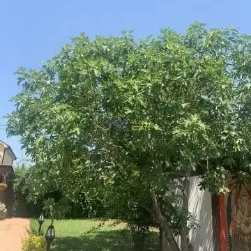 Izdavanje, kuća, 139m², Podgorica, Crna Gora - image 8