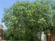 Izdavanje, kuća, 139m², Podgorica, Crna Gora - image 8