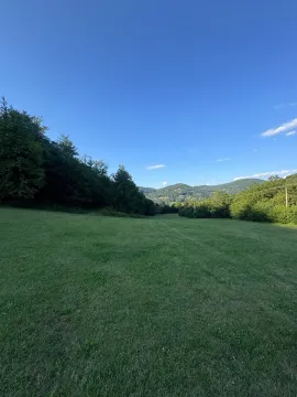 Pogled na prostrano zeleno zemljište sa šumom u pozadini. - image 4