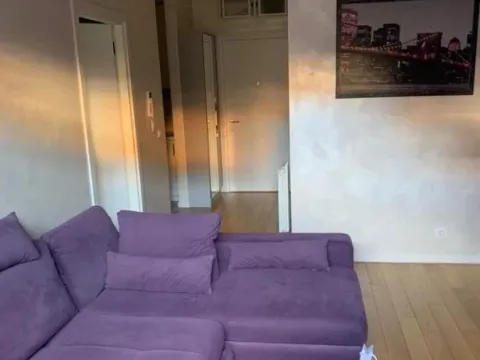 Izdavanje, dvosoban stan, 55m², Novi Beograd Blok 67, Novi Beograd Sve Podlokacije - image 4