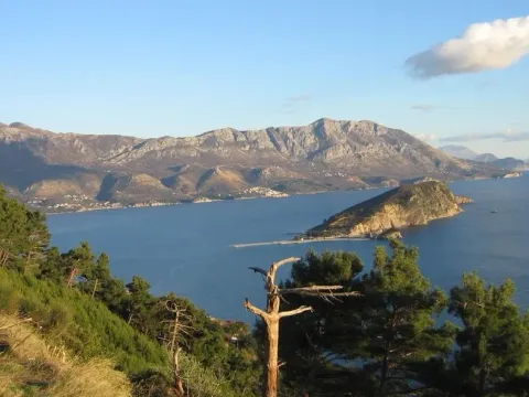 Prodaja, plac, 9500m², Komoševina, Budva - image 3