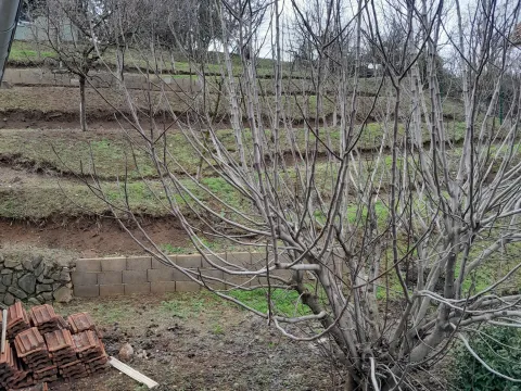 Sale, house, 132m², Čerević, Beočin - image 8