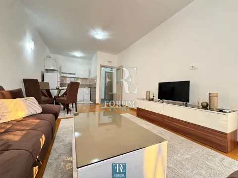 Izdavanje, jednosoban stan, 50m², Stari Aerodrom, Podgorica - image 4