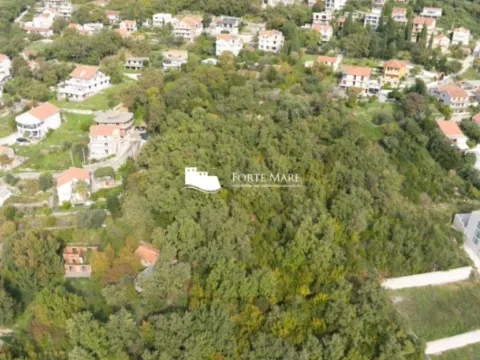 Prodaja, plac, 7800m², Topla, Herceg Novi - image 4