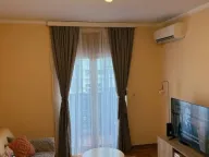 Izdavanje, jednosoban stan, 47m², Podgorica, Crna Gora - image 4