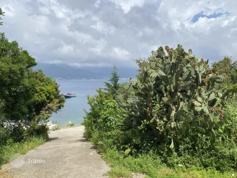 Prodaja, plac, 1127m², Krašići, Tivat - image 2