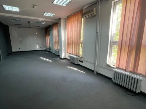 Izdavanje, poslovni prostor, 201m², Botanička Bašta, Palilula Sve Podlokacije - image 3