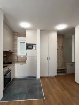Moderna kuhinja sa ugradnim elementima i svijetlim drvenim detaljima. - image 7