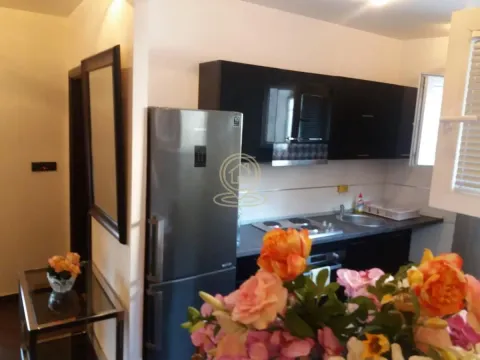 Rent, two bedroom apartment, 50m², Lekino Brdo, Voždovac Sve Podlokacije - image 8