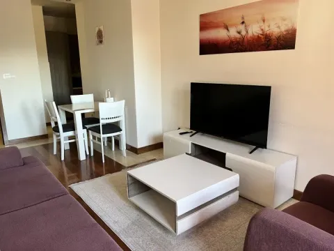 Rent, one bedroom apartment, 50m², Centar, Podgorica - image 2