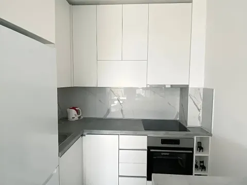 Izdavanje, jednosoban stan, 49m², Seljanovo, Tivat - image 11