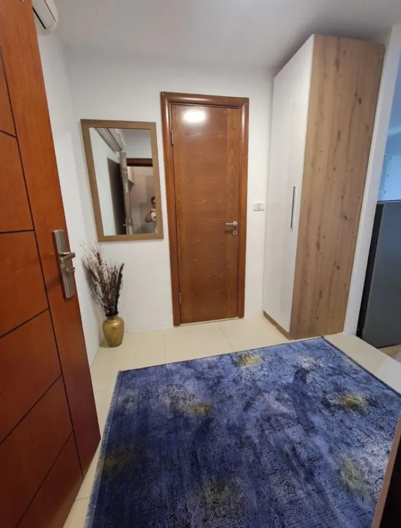 Izdavanje, jednosoban stan, 45m², Centar, Podgorica