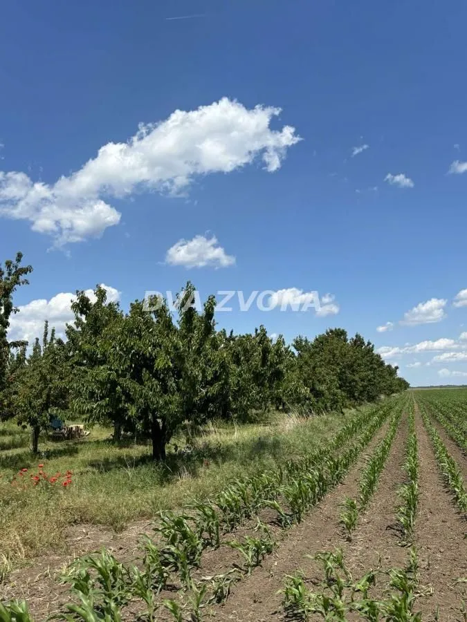 Prodaja, plac, 28700m², Novi Slankamen, Inđija