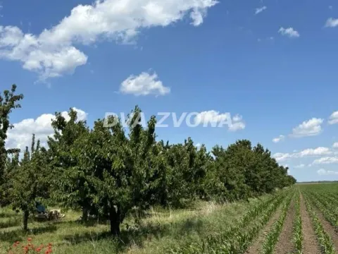 Prodaja, plac, 287m², Novi Slankamen, Inđija - image 11